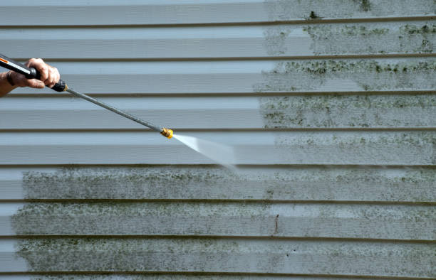 Best House Exterior Washing  in Mccullom Lake, IL